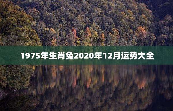 1975年生肖兔2020年12月运势大全