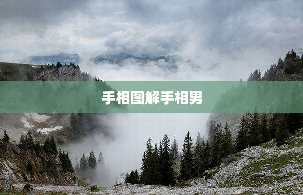 手相图解手相男