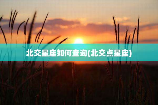 北交星座如何查询(北交点星座)