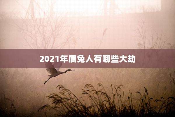 2021年属兔人有哪些大劫