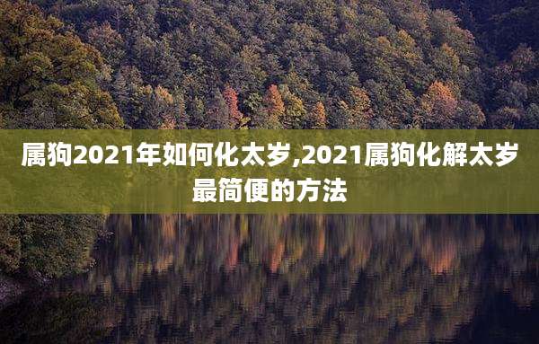 属狗2021年如何化太岁,2021属狗化解太岁最简便的方法