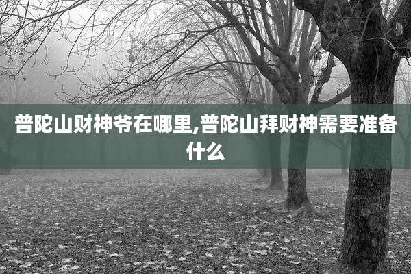 普陀山财神爷在哪里,普陀山拜财神需要准备什么