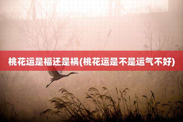 桃花运是福还是祸(桃花运是不是运气不好)