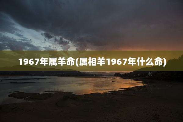 1967年属羊命(属相羊1967年什么命)