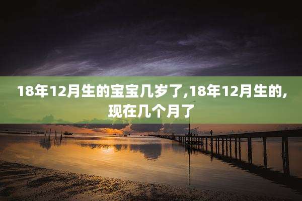 18年12月生的宝宝几岁了,18年12月生的,现在几个月了
