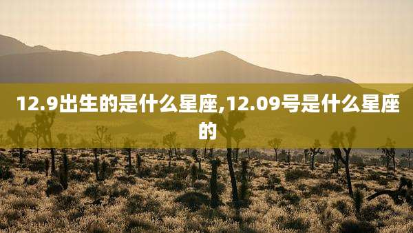 12.9出生的是什么星座,12.09号是什么星座的
