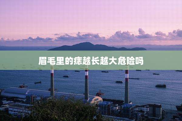 眉毛里的痣越长越大危险吗