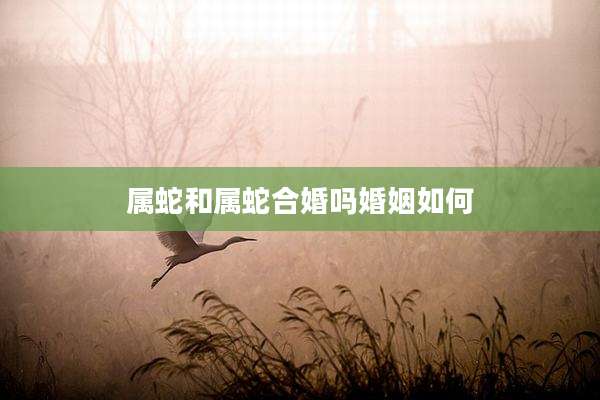 属蛇和属蛇合婚吗婚姻如何