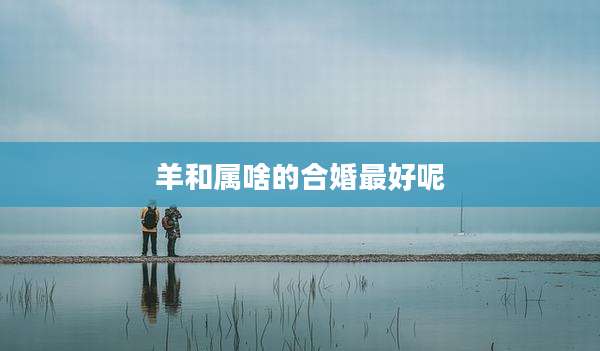 羊和属啥的合婚最好呢