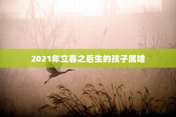 2021年立春之后生的孩子属啥