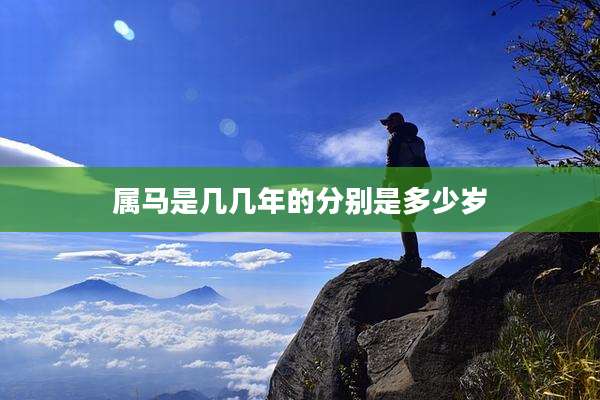 属马是几几年的分别是多少岁