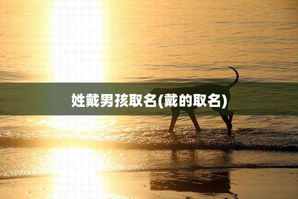 姓戴男孩取名(戴的取名)