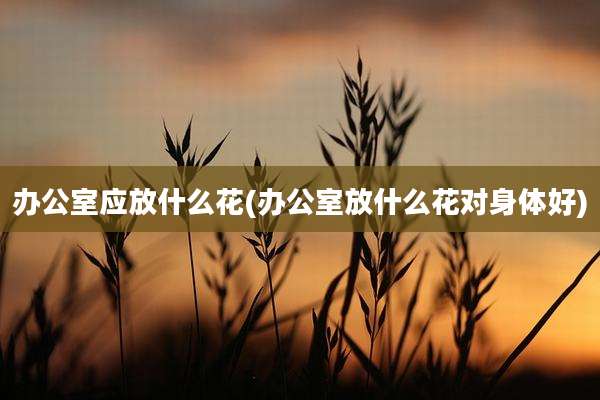 办公室应放什么花(办公室放什么花对身体好)