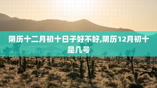 阴历十二月初十日子好不好,阴历12月初十是几号