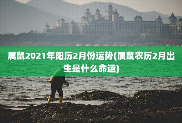 属鼠2021年阳历2月份运势(属鼠农历2月出生是什么命运)