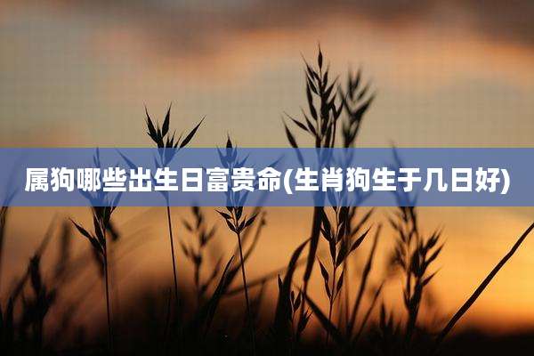 属狗哪些出生日富贵命(生肖狗生于几日好)