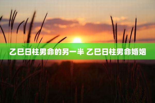 乙巳日柱男命的另一半 乙巳日柱男命婚姻