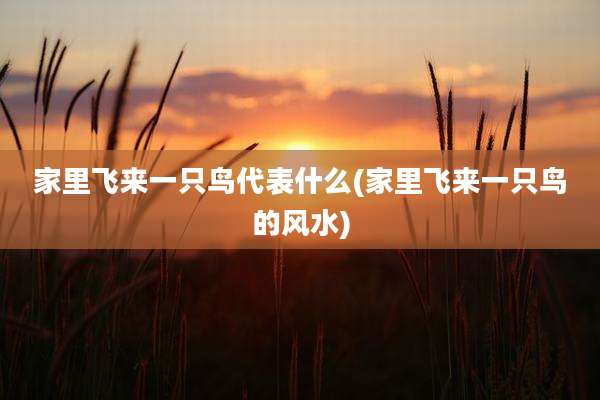 家里飞来一只鸟代表什么(家里飞来一只鸟的风水)