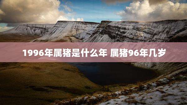 1996年属猪是什么年 属猪96年几岁