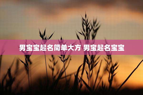 男宝宝起名简单大方 男宝起名宝宝