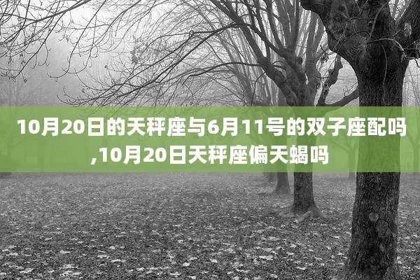10月20日的天秤座与6月11号的双子座配吗,10月20日天秤座偏天蝎吗