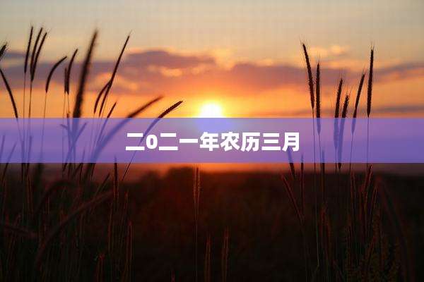 二0二一年农历三月