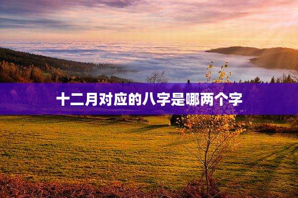 十二月对应的八字是哪两个字
