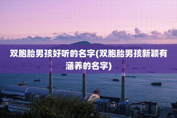 双胞胎男孩好听的名字(双胞胎男孩新颖有涵养的名字)