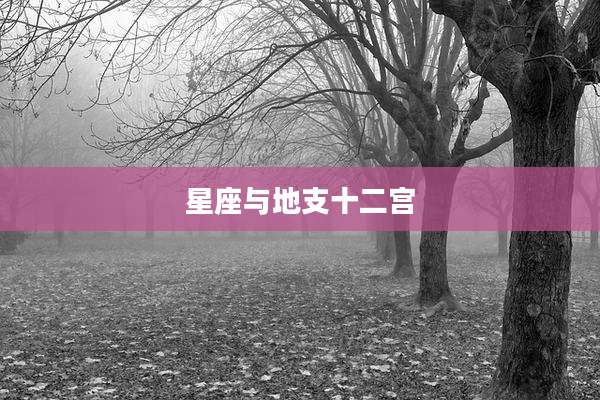 星座与地支十二宫