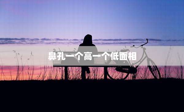 鼻孔一个高一个低面相