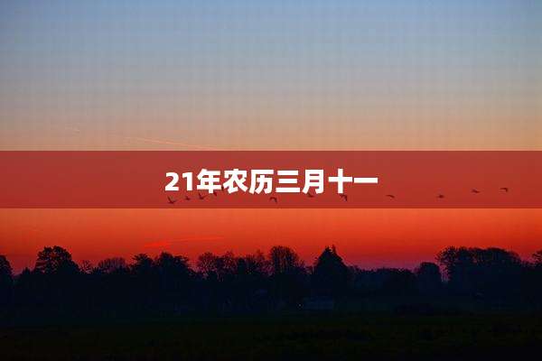 21年农历三月十一