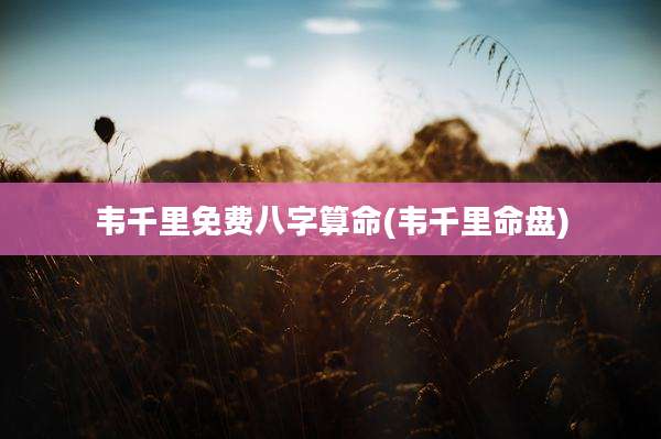 韦千里免费八字算命(韦千里命盘)