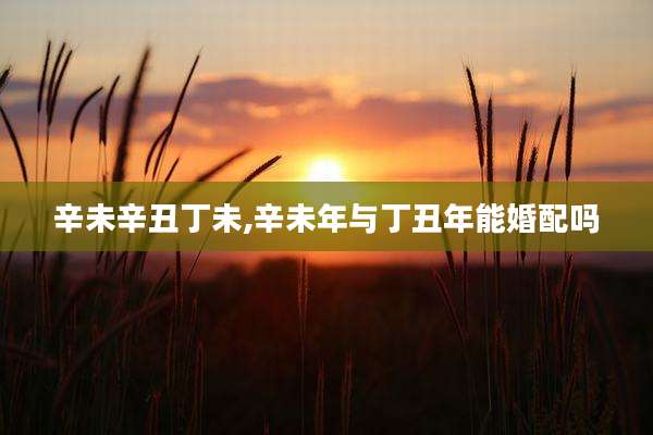辛未辛丑丁未,辛未年与丁丑年能婚配吗