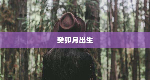 癸卯月出生