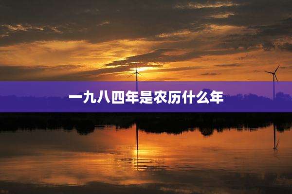 一九八四年是农历什么年