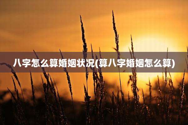 八字怎么算婚姻状况(算八字婚姻怎么算)