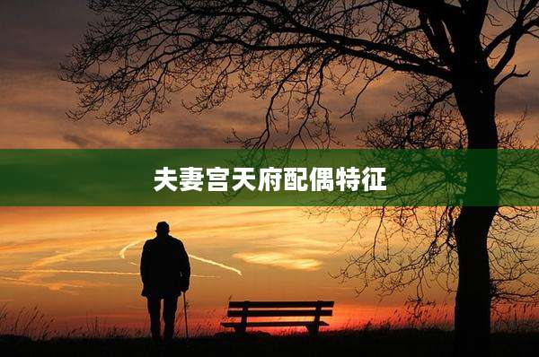 夫妻宫天府配偶特征