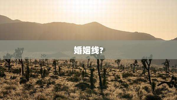 婚姻线?