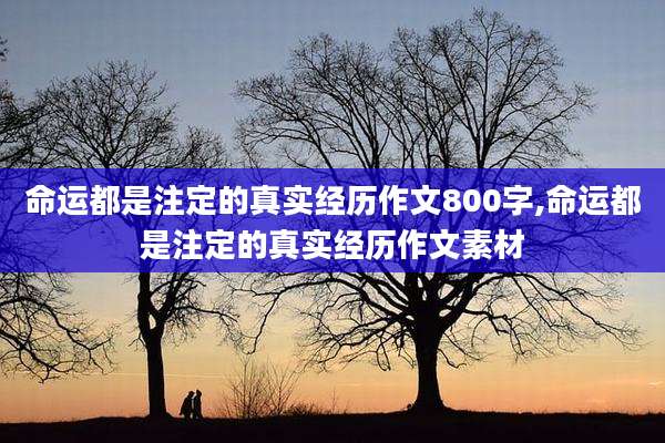 命运都是注定的真实经历作文800字,命运都是注定的真实经历作文素材