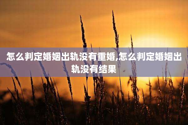 怎么判定婚姻出轨没有重婚,怎么判定婚姻出轨没有结果