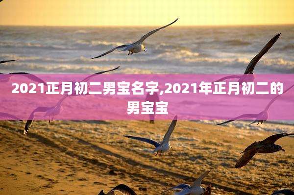 2021正月初二男宝名字,2021年正月初二的男宝宝