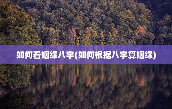 如何看姻缘八字(如何根据八字算姻缘)