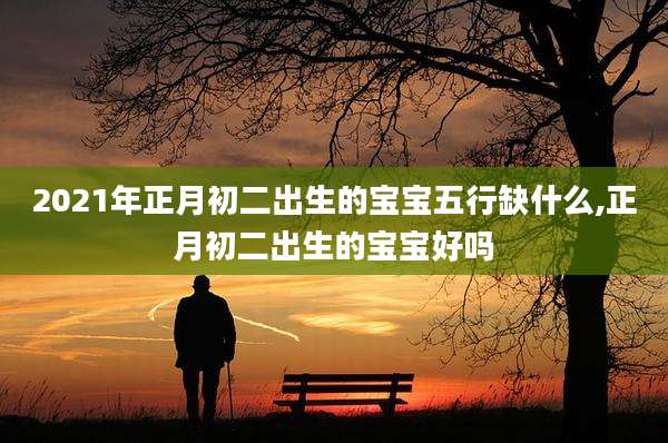 2021年正月初二出生的宝宝五行缺什么,正月初二出生的宝宝好吗