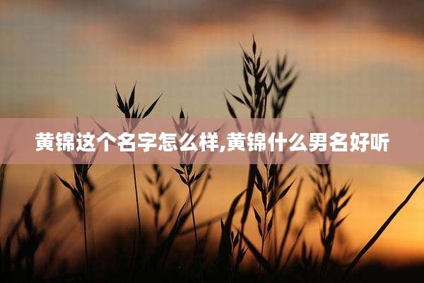 黄锦这个名字怎么样,黄锦什么男名好听