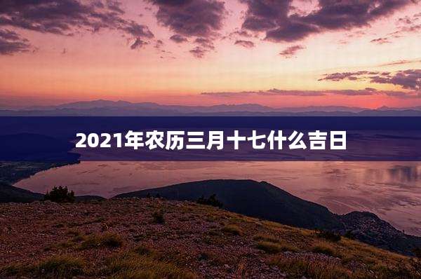 2021年农历三月十七什么吉日