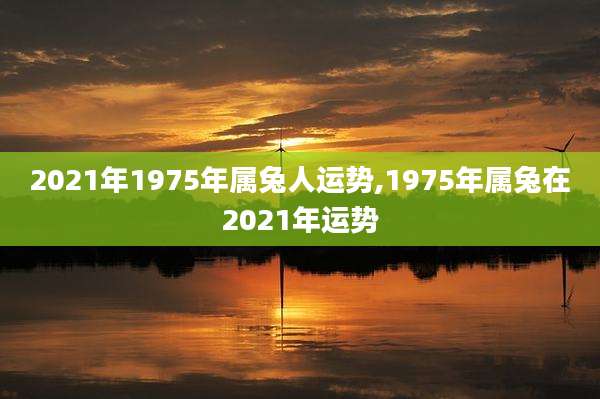 2021年1975年属兔人运势,1975年属兔在2021年运势