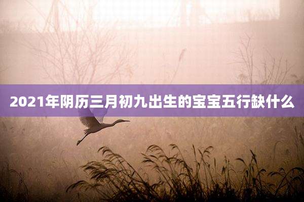 2021年阴历三月初九出生的宝宝五行缺什么