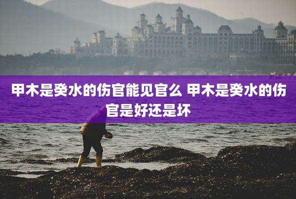 甲木是癸水的伤官能见官么 甲木是癸水的伤官是好还是坏