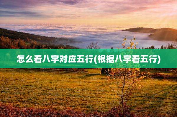 怎么看八字对应五行(根据八字看五行)