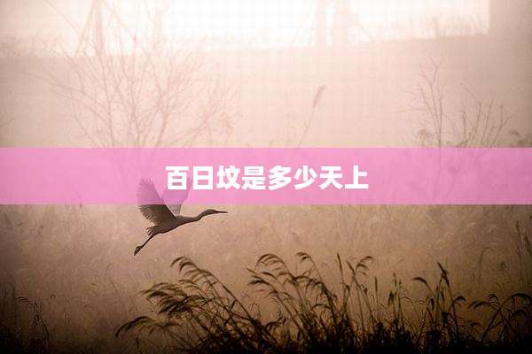 百日坟是多少天上